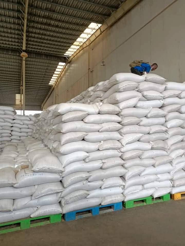 Import-export operations